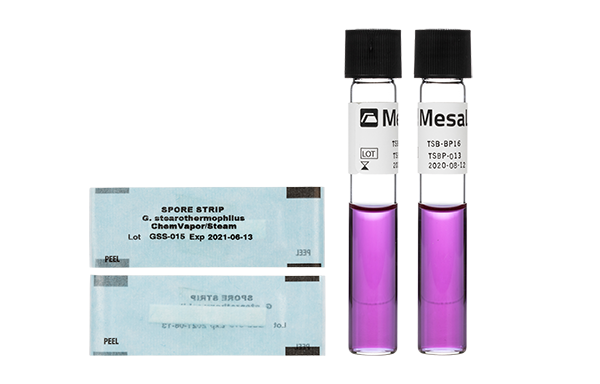 segunda entrada para blog